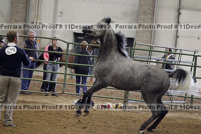Proof Number 11deseret_0283