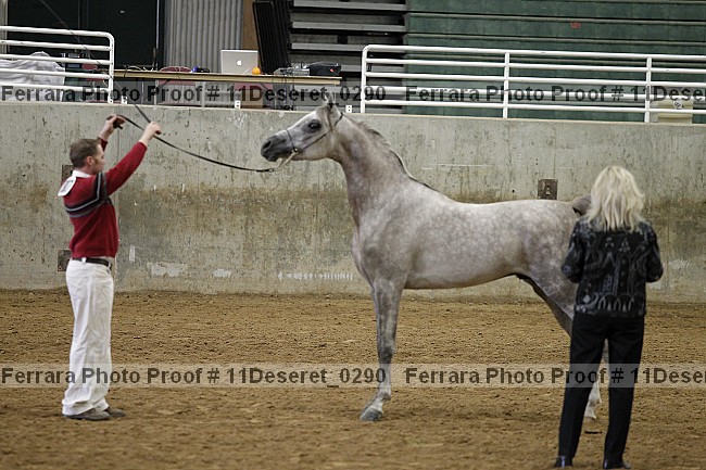 Proof Number 11deseret_0290