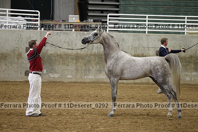 Proof Number 11deseret_0292
