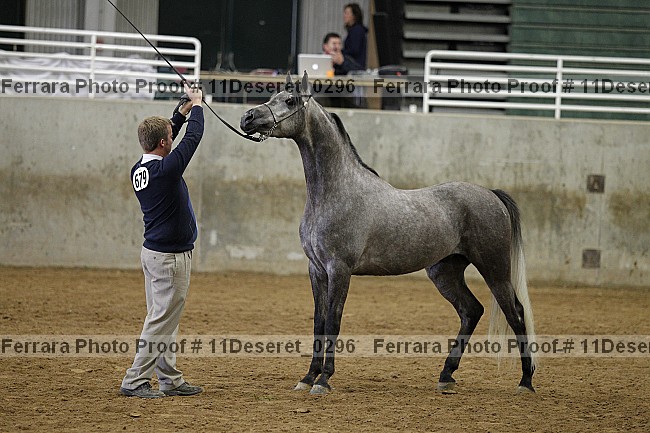 Proof Number 11deseret_0296