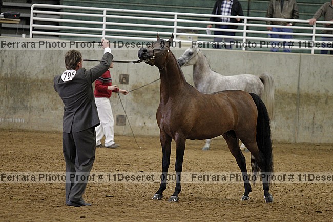 Proof Number 11deseret_0301