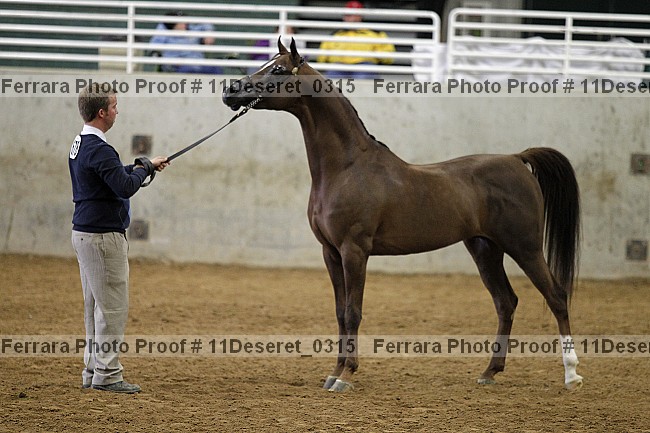 Proof Number 11deseret_0315