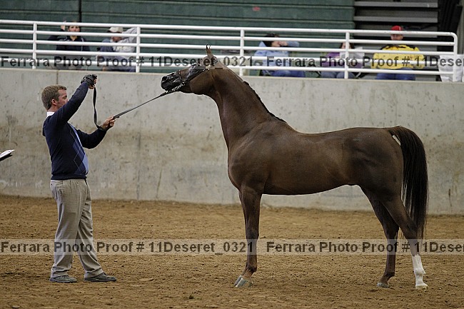 Proof Number 11deseret_0321
