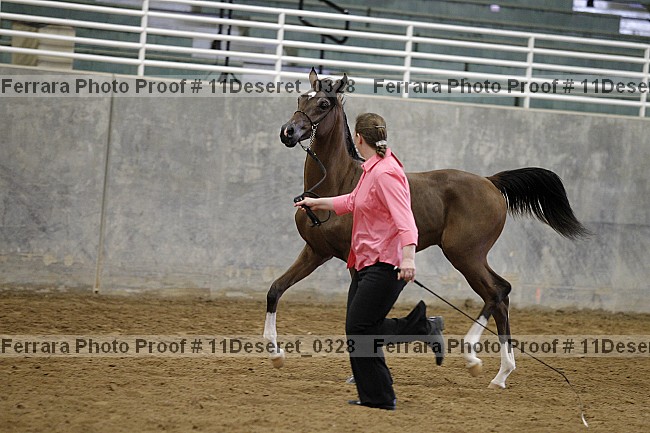 Proof Number 11deseret_0328