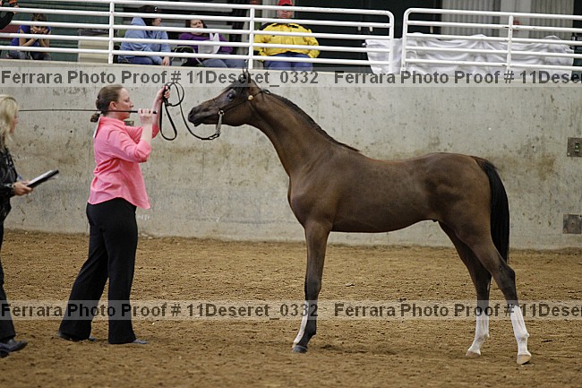Proof Number 11deseret_0332