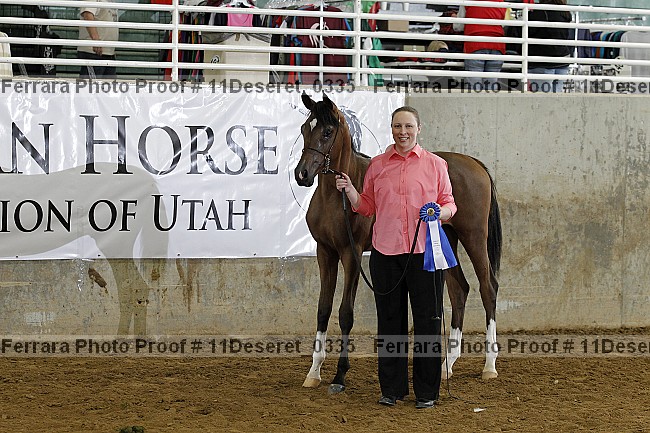Proof Number 11deseret_0335
