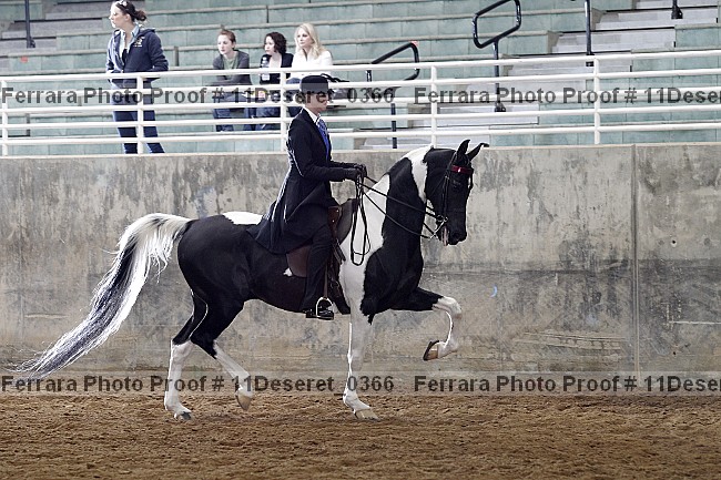 Proof Number 11deseret_0366