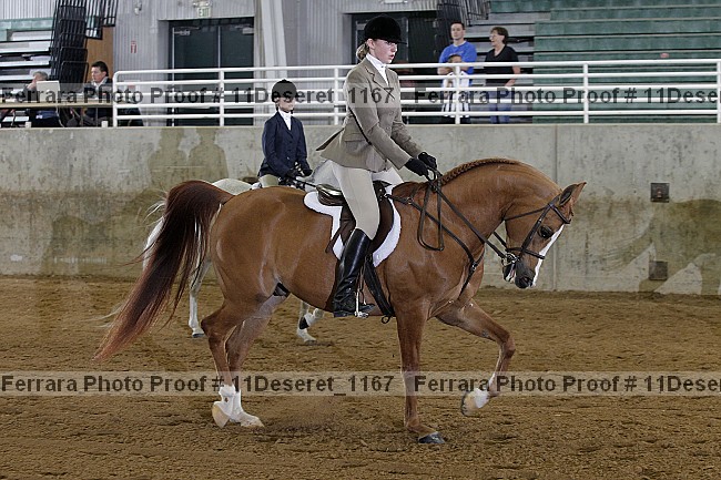 Proof Number 11deseret_1167