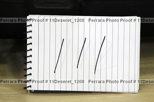 Proof Number 11deseret_1208