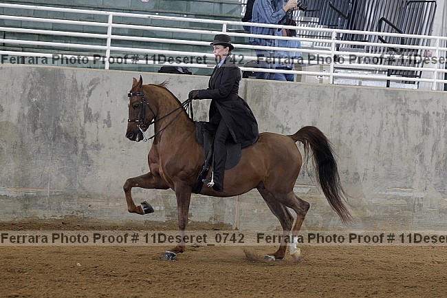 Proof Number 11deseret_0742