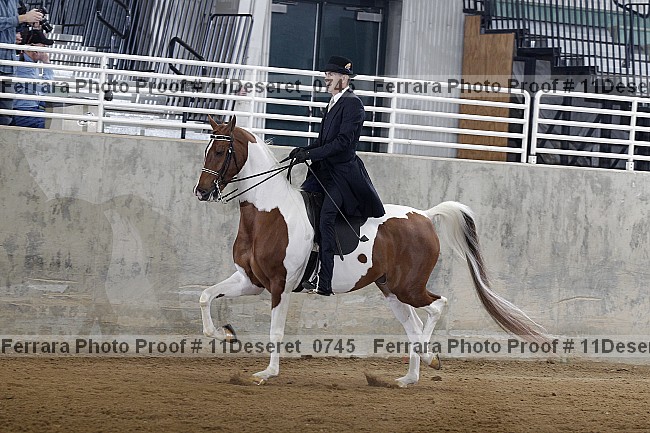 Proof Number 11deseret_0745