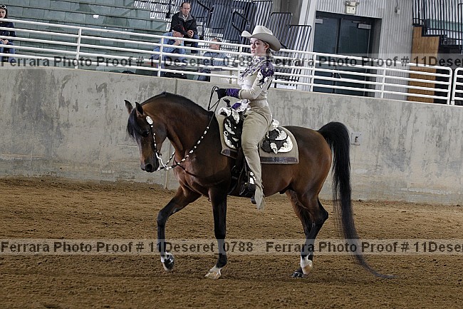 Proof Number 11deseret_0788