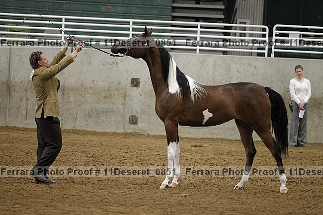 Proof Number 11deseret_0851