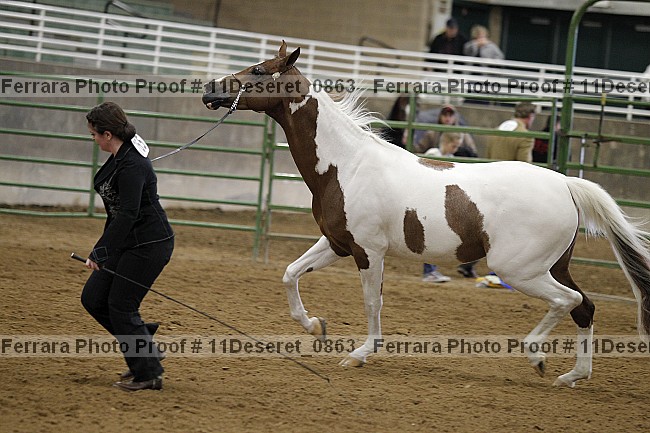 Proof Number 11deseret_0863