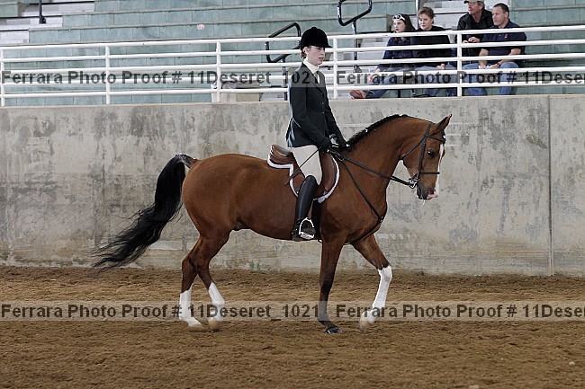 Proof Number 11deseret_1021