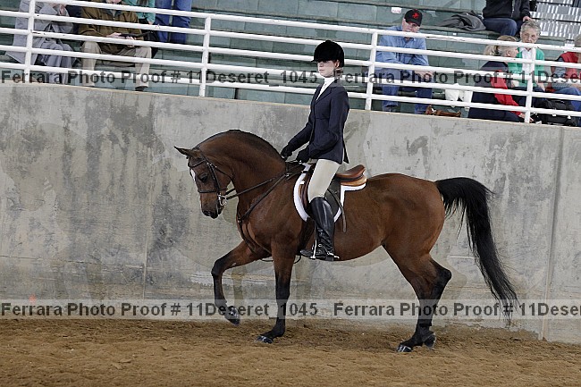 Proof Number 11deseret_1045