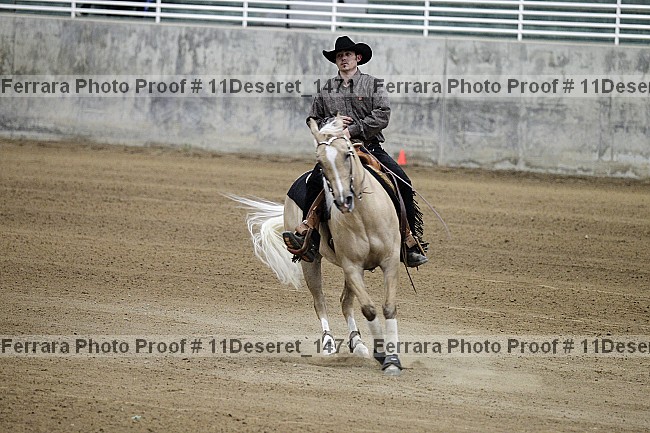 Proof Number 11deseret_1471