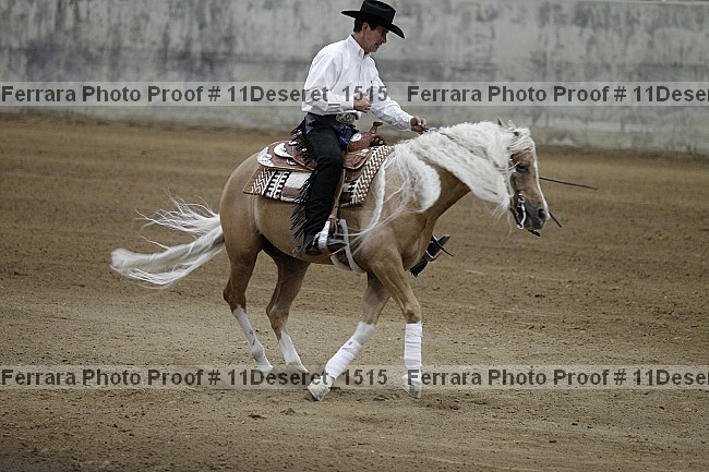 Proof Number 11deseret_1515