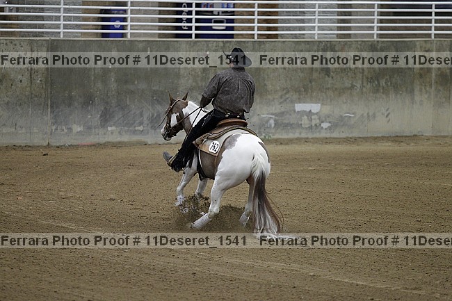 Proof Number 11deseret_1541