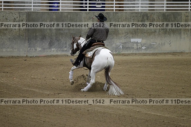 Proof Number 11deseret_1542
