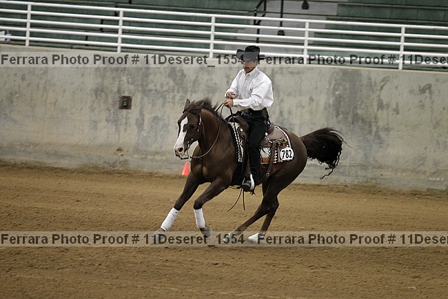 Proof Number 11deseret_1554