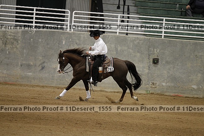 Proof Number 11deseret_1555