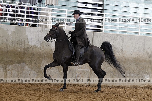 Proof Number 11deseret_2001