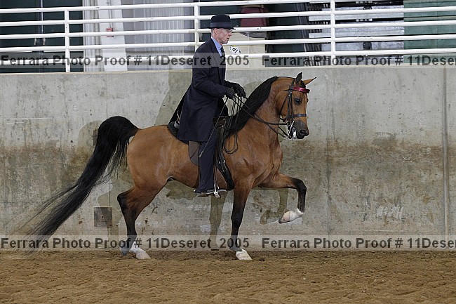 Proof Number 11deseret_2005