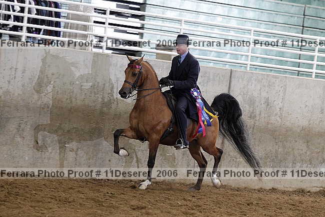Proof Number 11deseret_2006