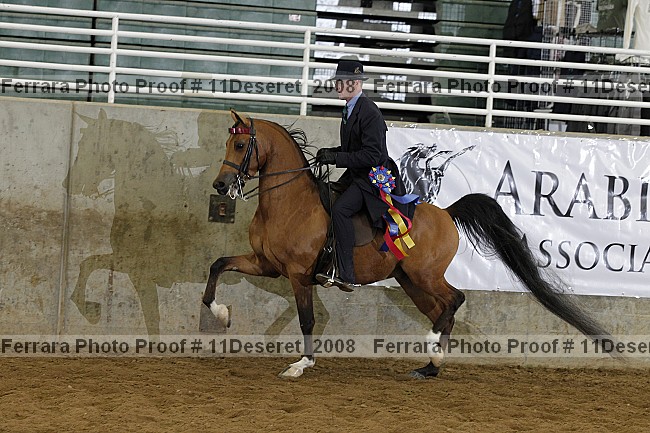 Proof Number 11deseret_2008
