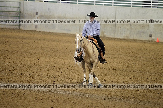 Proof Number 11deseret_1701