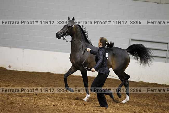 Proof Number 11r12_8896
