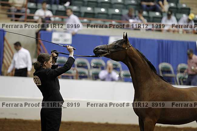 Proof Number 11r12_8919