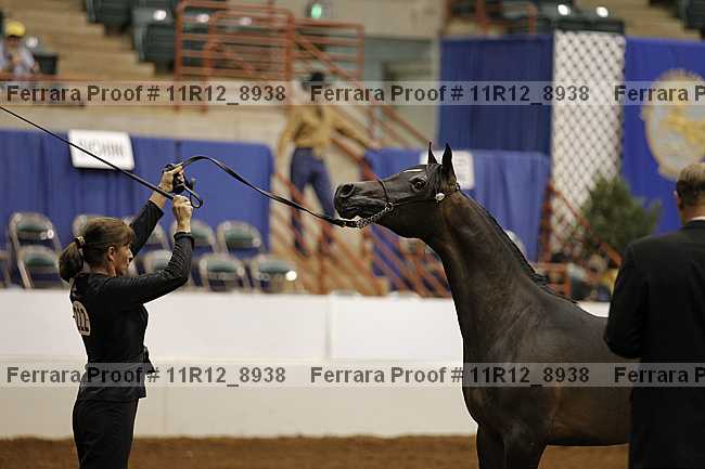 Proof Number 11r12_8938