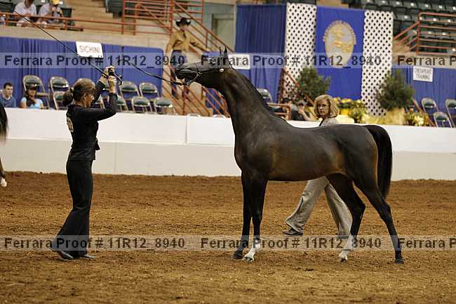 Proof Number 11r12_8940