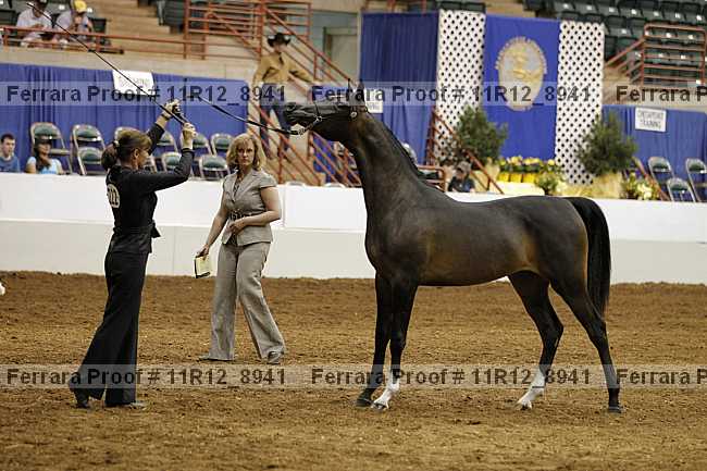 Proof Number 11r12_8941