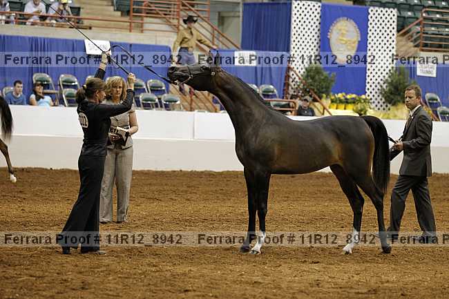 Proof Number 11r12_8942