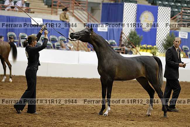 Proof Number 11r12_8944
