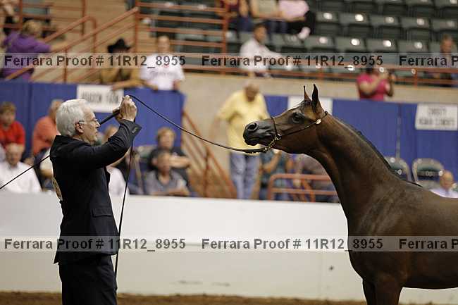 Proof Number 11r12_8955