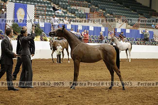 Proof Number 11r12_8975
