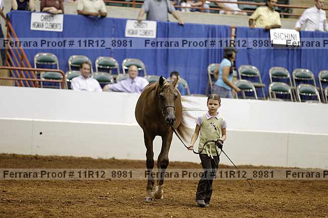 Proof Number 11r12_8981