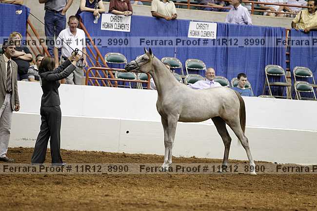 Proof Number 11r12_8990