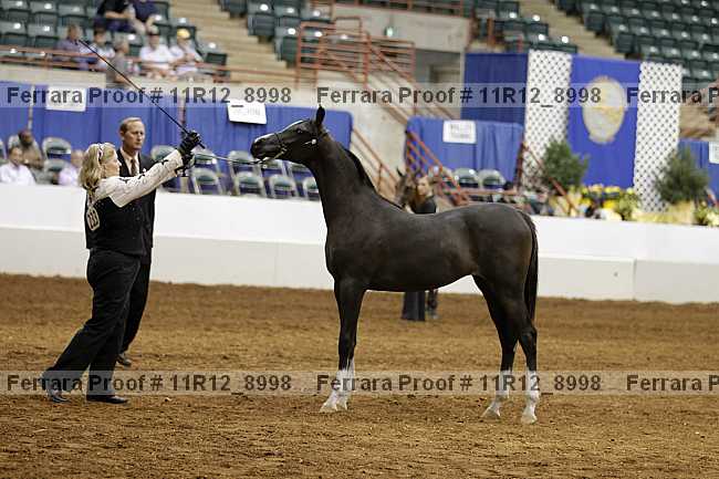 Proof Number 11r12_8998
