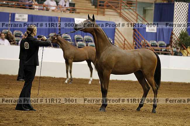 Proof Number 11r12_9001