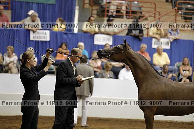 Proof Number 11r12_9007