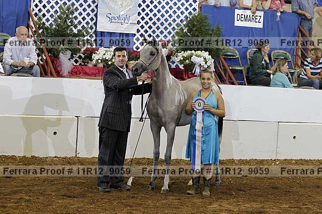 Proof Number 11r12_9059