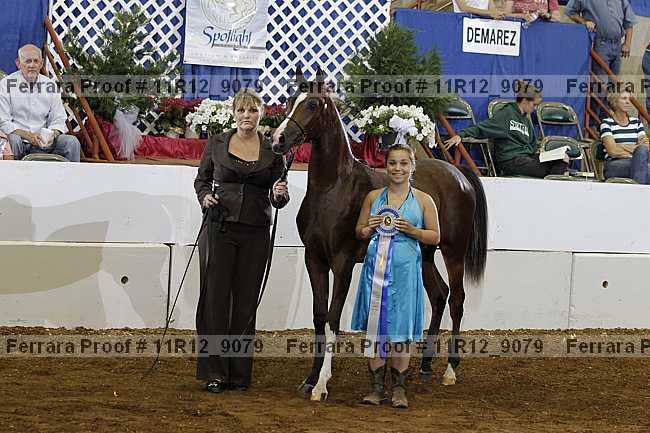 Proof Number 11r12_9079