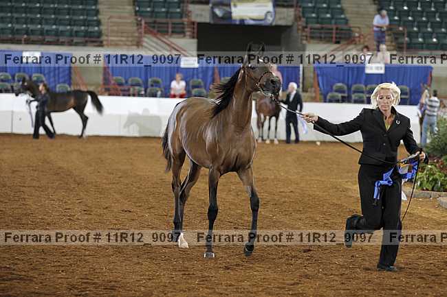 Proof Number 11r12_9097