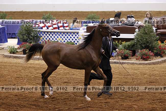Proof Number 11r12_9102