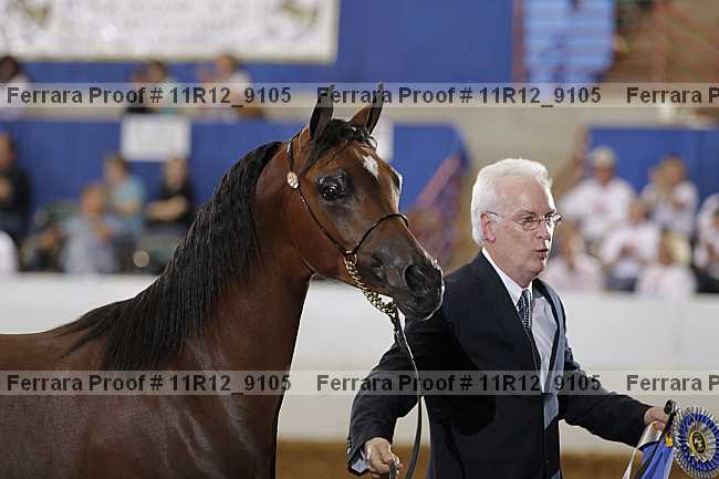 Proof Number 11r12_9105